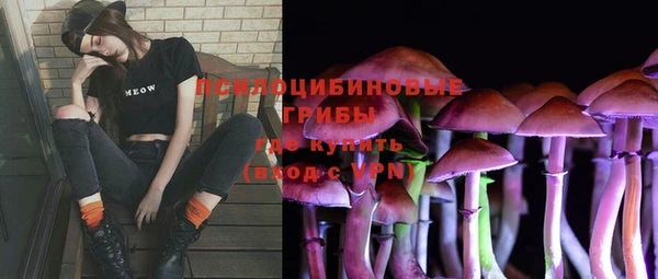 таблы Горнозаводск
