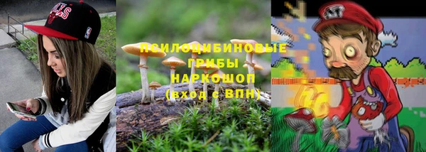 a pvp Горняк
